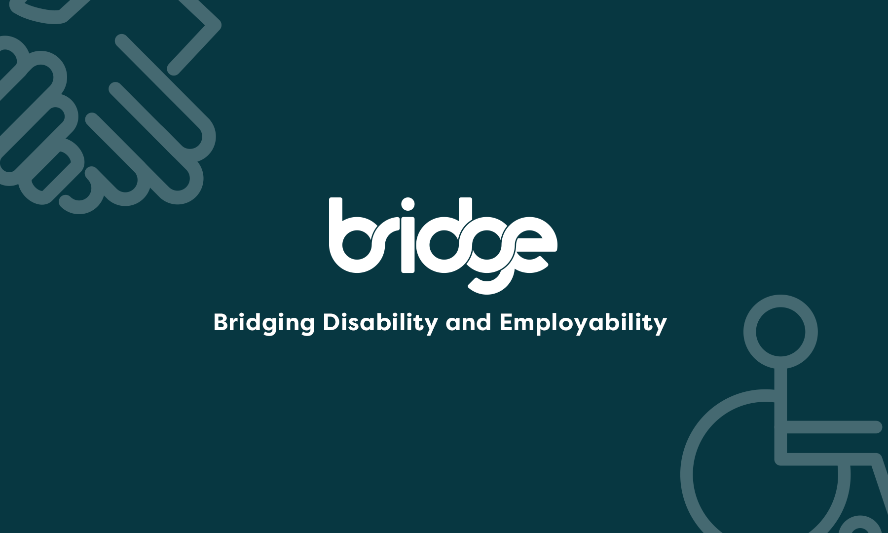 Bridge: Disability and Employment